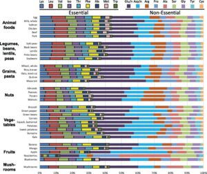 Proportions of amino acids in selected foods across food groups. Amino acids are grouped as essential or nonessential, in descending order of prevalence within food groups. Amount of protein per 100 kcal is presented in Table S1. (Source: Nutrition Database System for Research, University of Minnesota; http://www.ncc.umn.edu/ndsr-database-page/). Abbreviations: Ala, alanine; Arg, arginine; Asp/n, aspartate and asparagine; Cys, cysteine; Glu/n, glutamate and glutamine; Gly, glycine; His, histidine; Iso, isoleucine; Leu, leucine; Lys, lysine; Met, methionine; Phe, phenylalanine; Pro, proline; Ser, serine; Thr, threonine; Trp, tryptophan; Tyr, tyrosine; Val, valine.